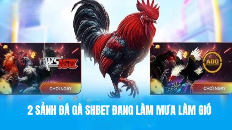 2 sảnh đá gà SHBET đang làm mưa làm gió