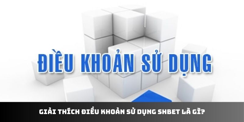 Giải thích điều khoản sử dụng SHBET là gì?