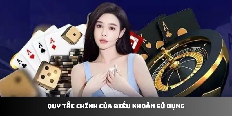 Quy tắc chính của điều khoản sử dụng