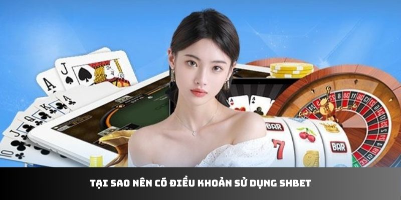 Tại sao nên có điều khoản sử dụng SHBET